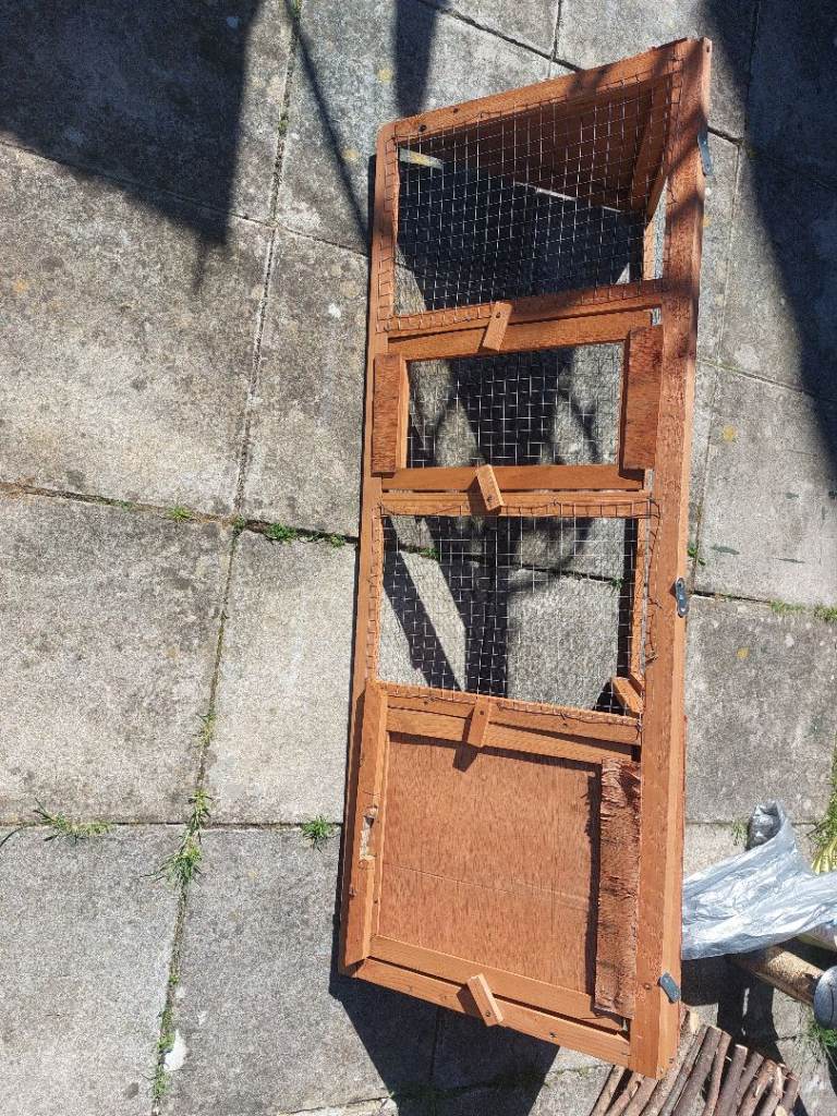 Small animal run free 