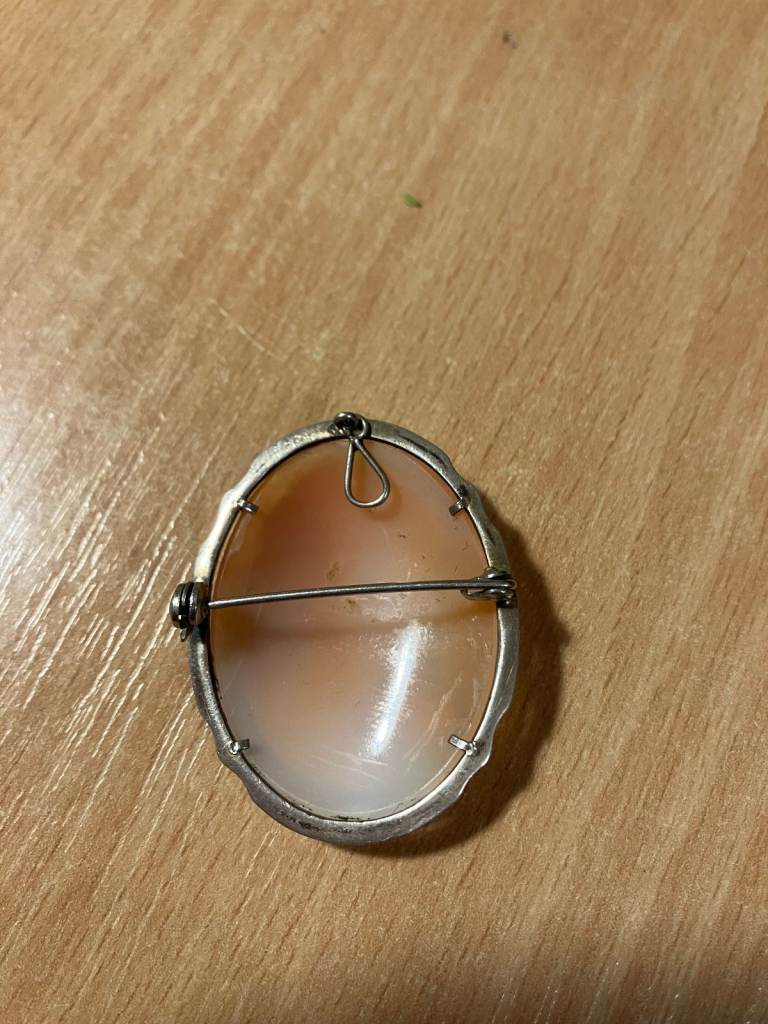 Vintage Shell Cameo Broach & Clip on Ear Rings