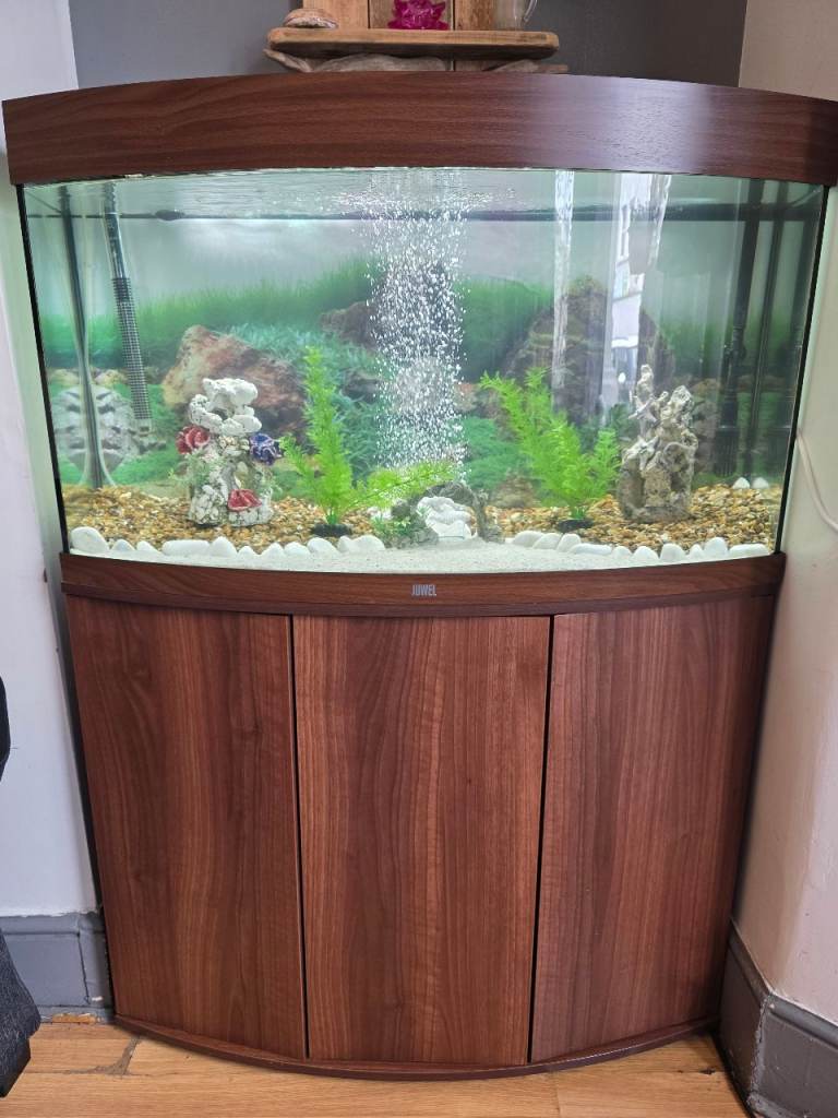 Fish tank 