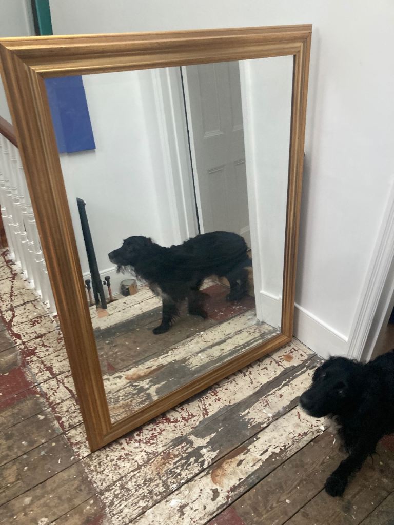 Large Gold Framed Mirror – Good Condition