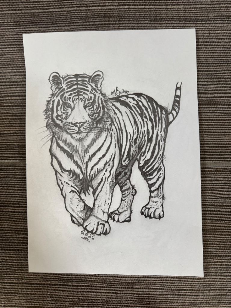 Hand-Drawn Black & White Tiger Pencil Sketch Drawing on A4 Paper