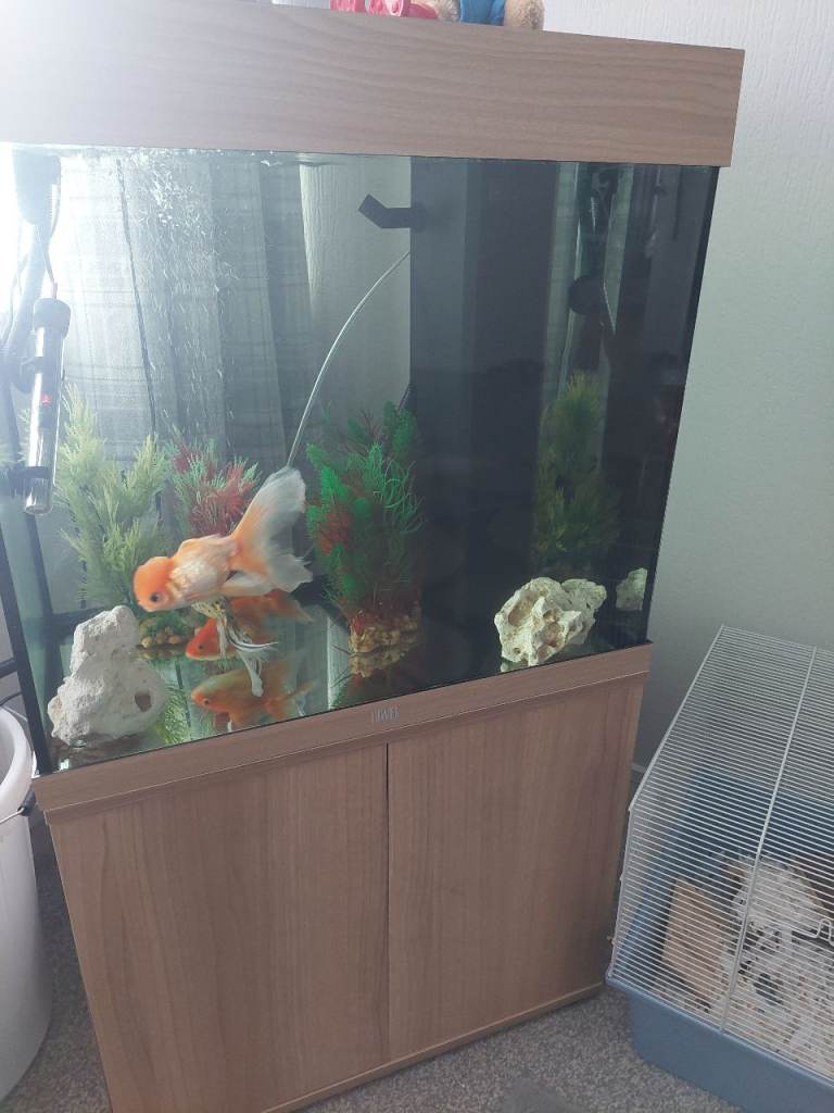 Fish tank