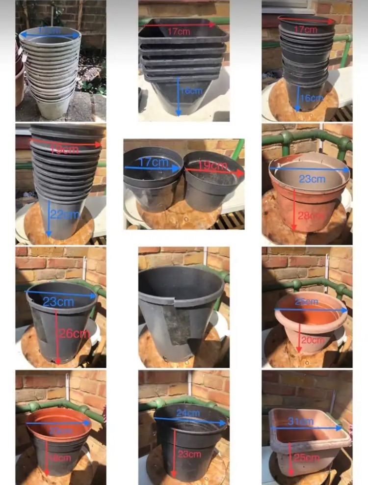 Job lot flower pots 