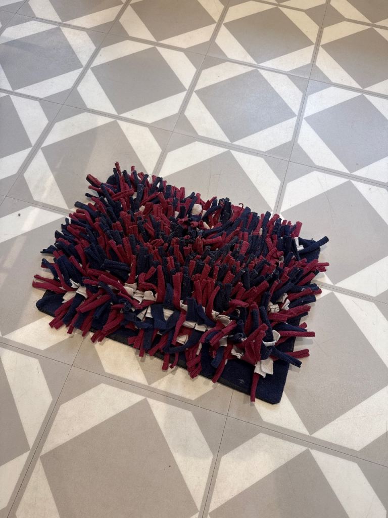 Dog treat mat