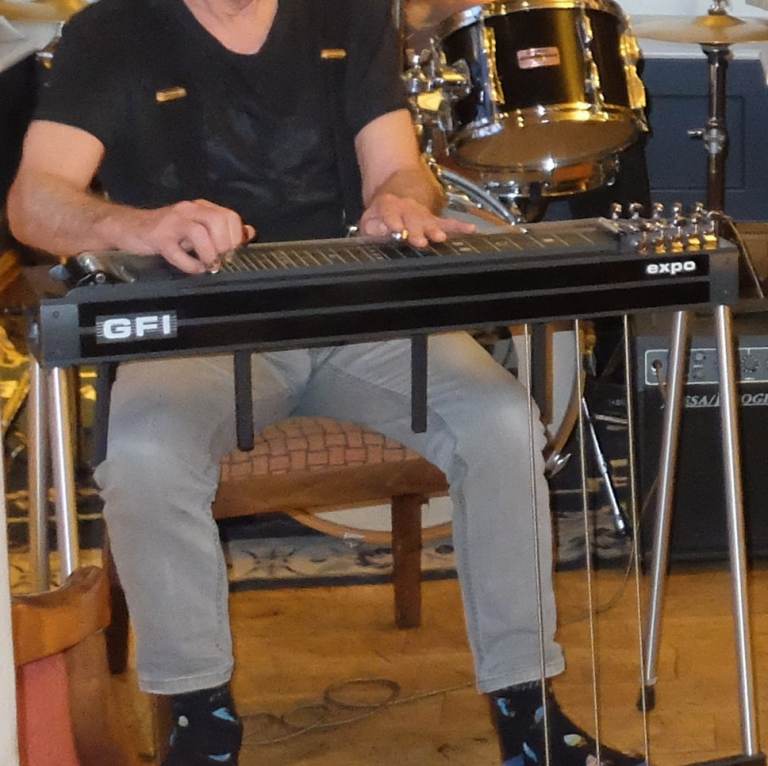 PEDAL STEEL GUITARIST/guitarist