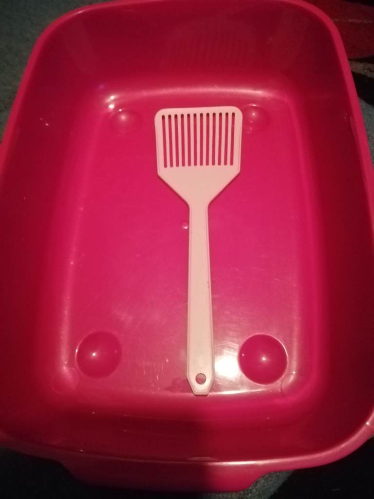 Cat bed, litter tray, scoop, dish.