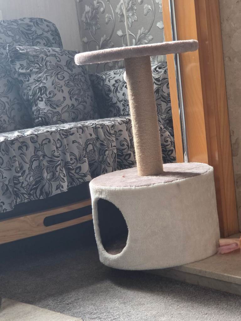 Cat house 