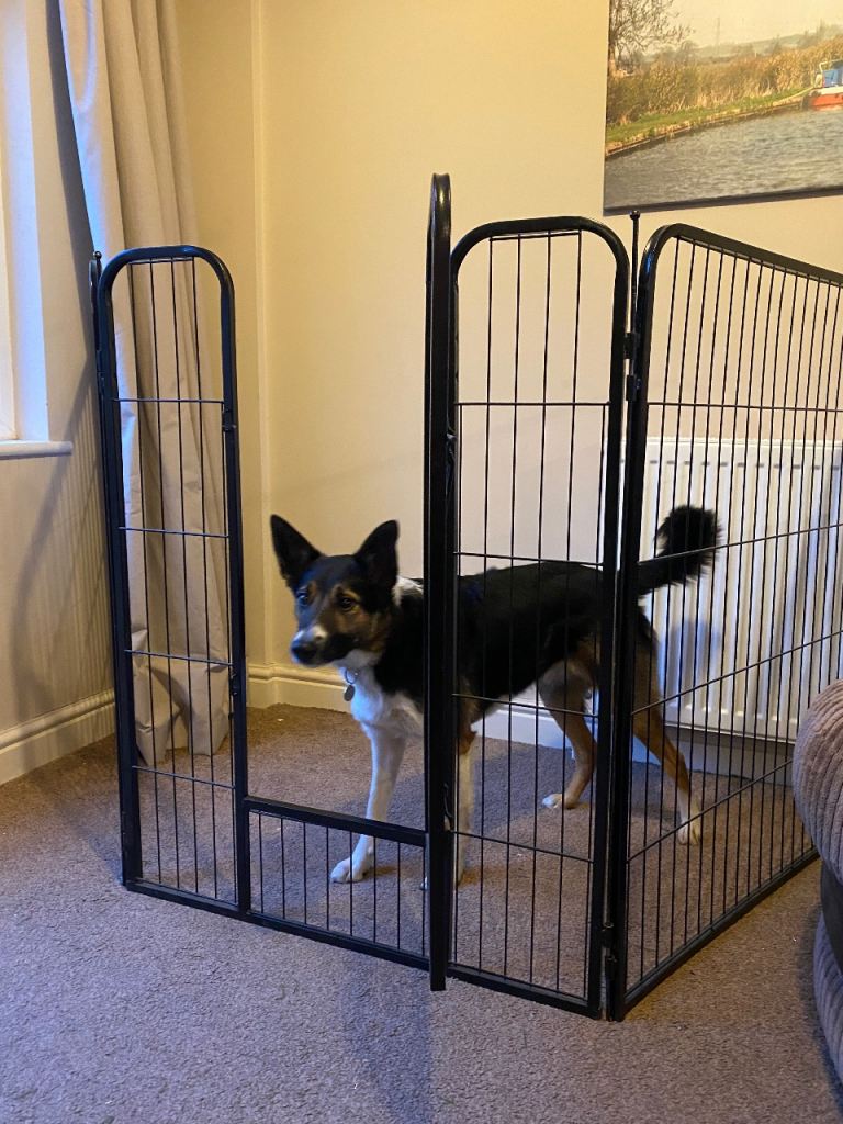 Large Black Underdog Play Pen