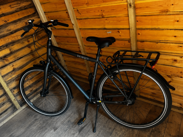 e bike damen rahmenakku E-Bike Trekking Pegasus Solero Evo 10 Blau 600 Wh 2027 Bosch PX – Reiter Refurbished - KTM Cento Surface:Chrome birillo