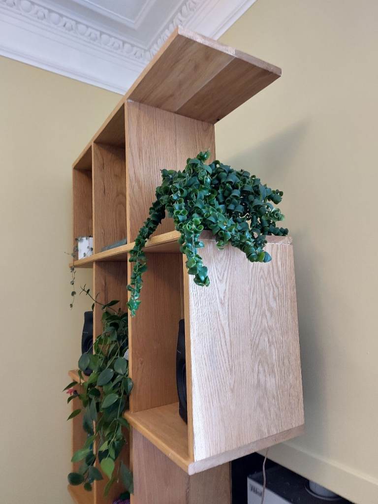 Beautiful Solid Oak Divider 