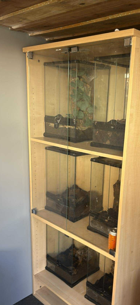 Various Exo terriuam vivs 