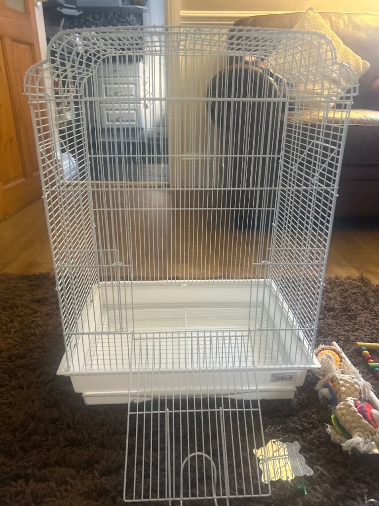Bird cage 
