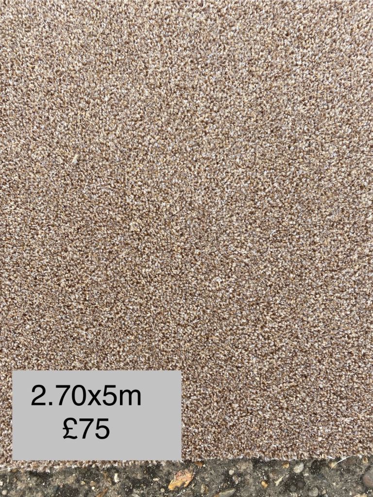 Chocolate brown carpet remnant 2.70x5m