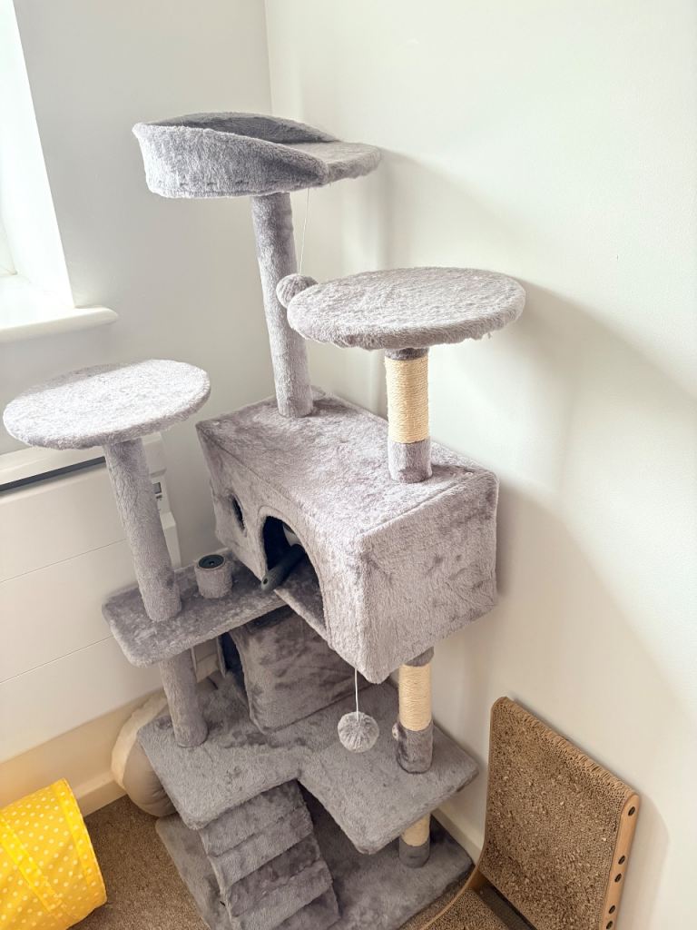 Cat tree, bed and toys