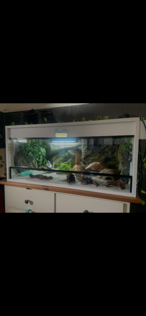 VGC white vivarium reptile tank with accessories 