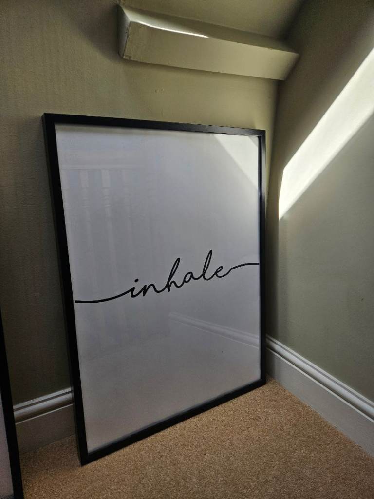 2 large IKEA picture frames.