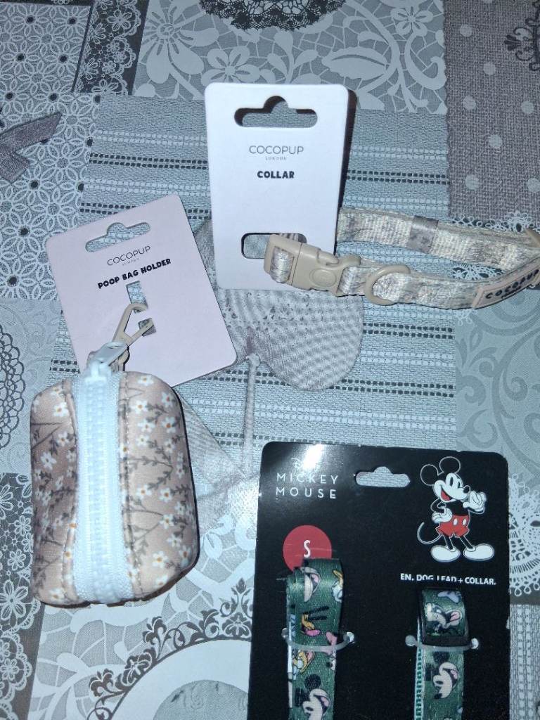 Small dog accessories and harness 