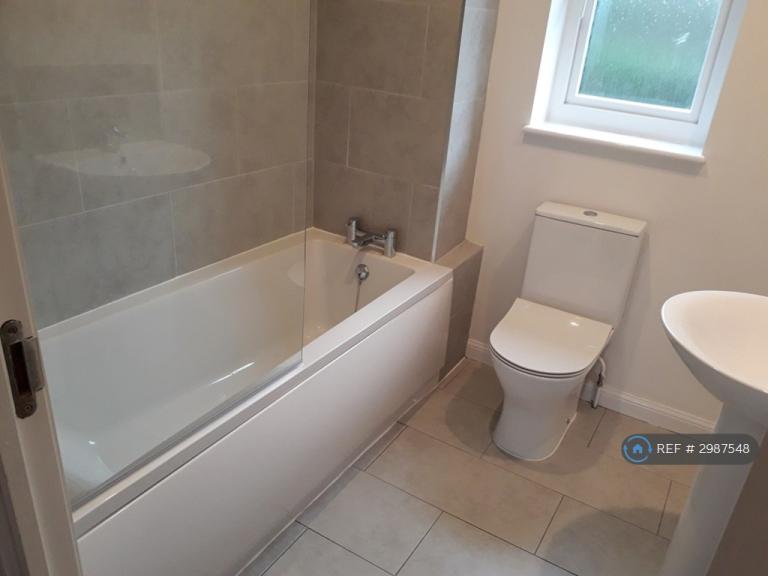 3 bedroom house in Blair Avenue, Spennymoor, DL16 (3 bed) (#2987548)