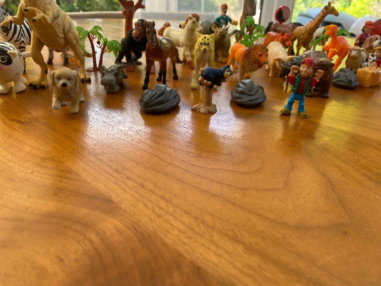 Farm, wild animals and sealife