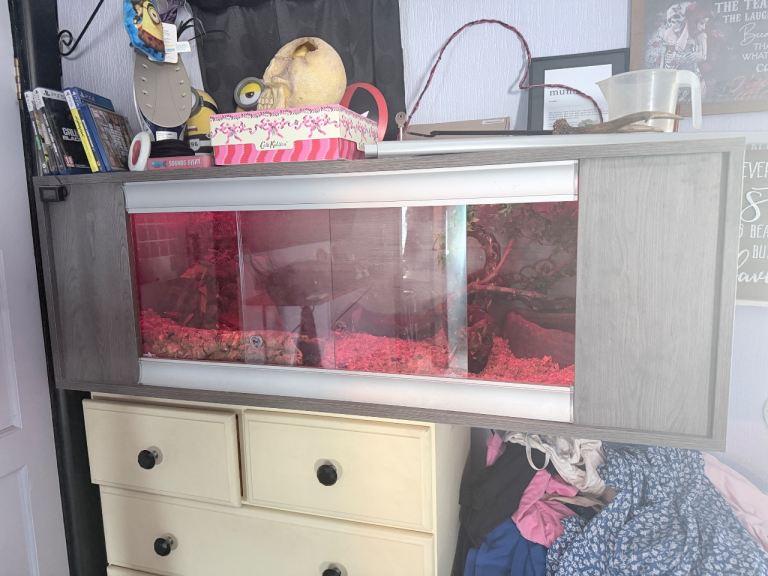 Snake viv