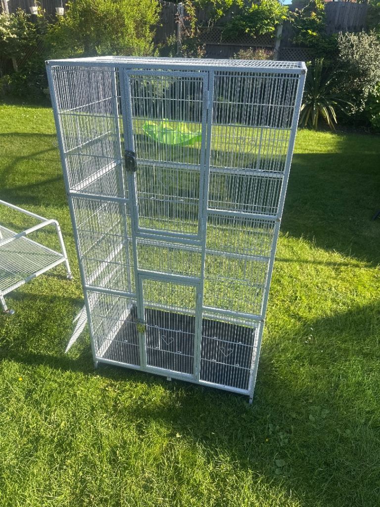Bird cage 