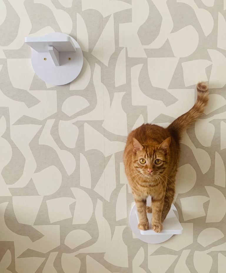 6 Brand New cat steps 