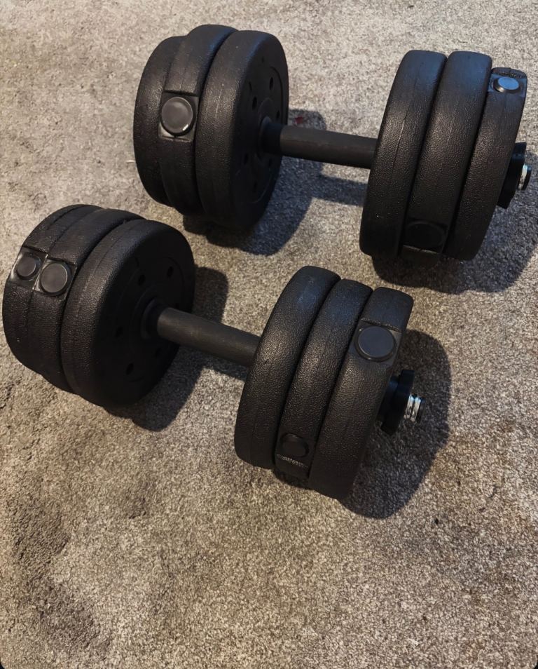 Pair of Adjustable Dumbbells for Home Gym