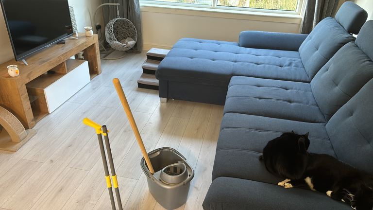 Cat egg chair/bed 