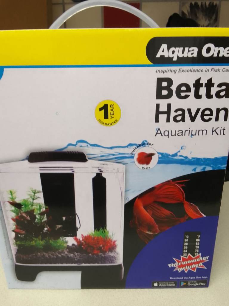 Betta haven fish tank