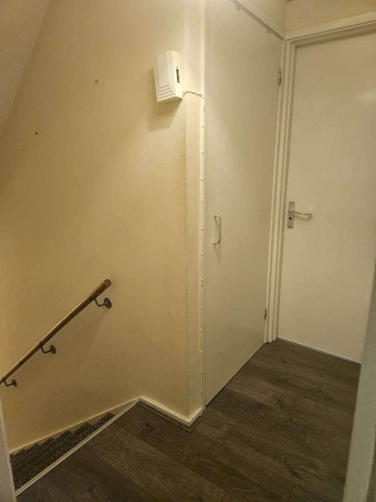 1 bed flat for rent