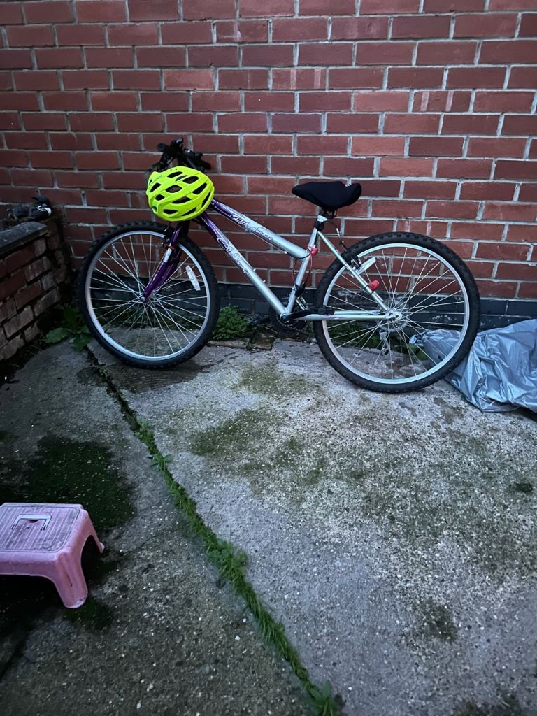 image for Adults bike