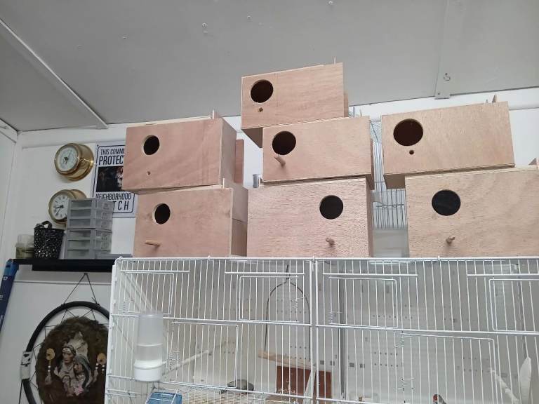 Budgie nest boxes 