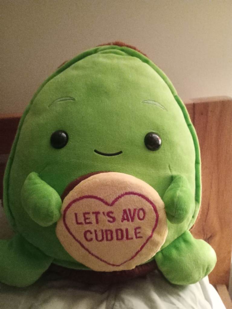 Love Hearts Avocado soft Toy – As Good As New