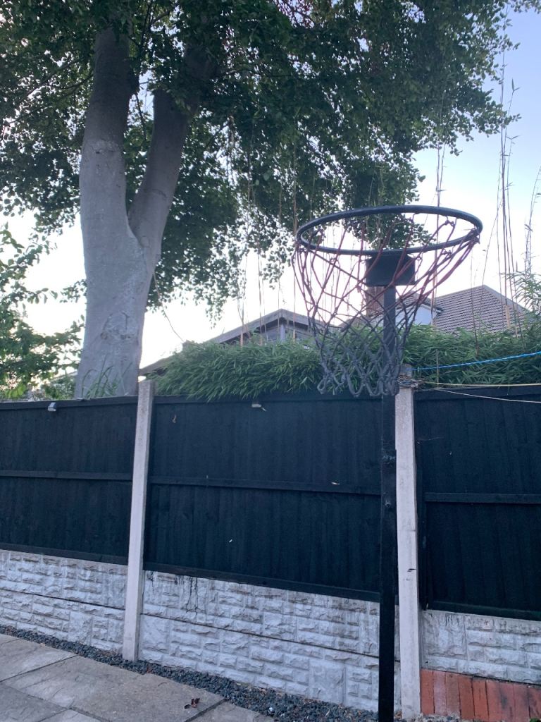 Basketball 