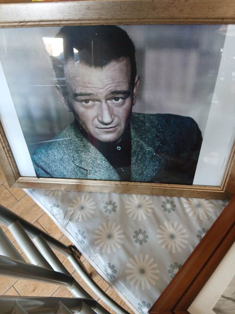 John wayne collection 