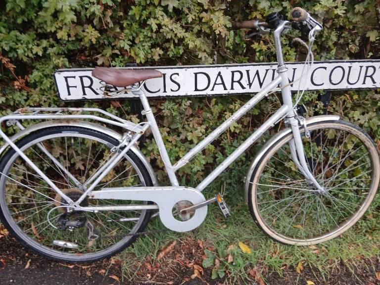 Ladies Road Bike 