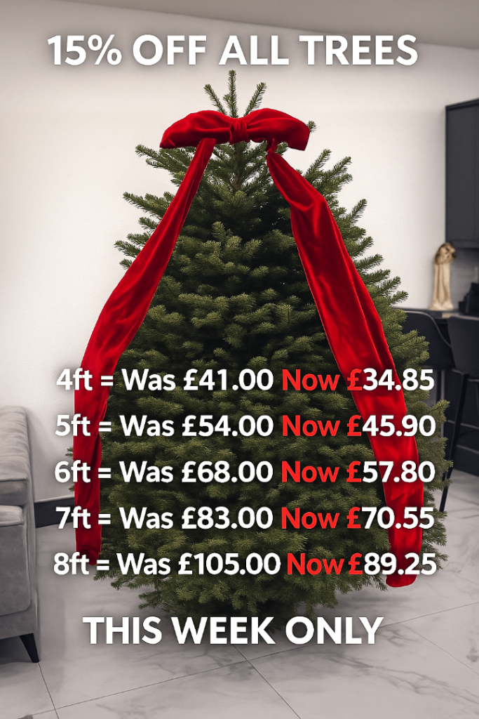 🎄Christmas Tree Sale – 15% OFF All Sizes!