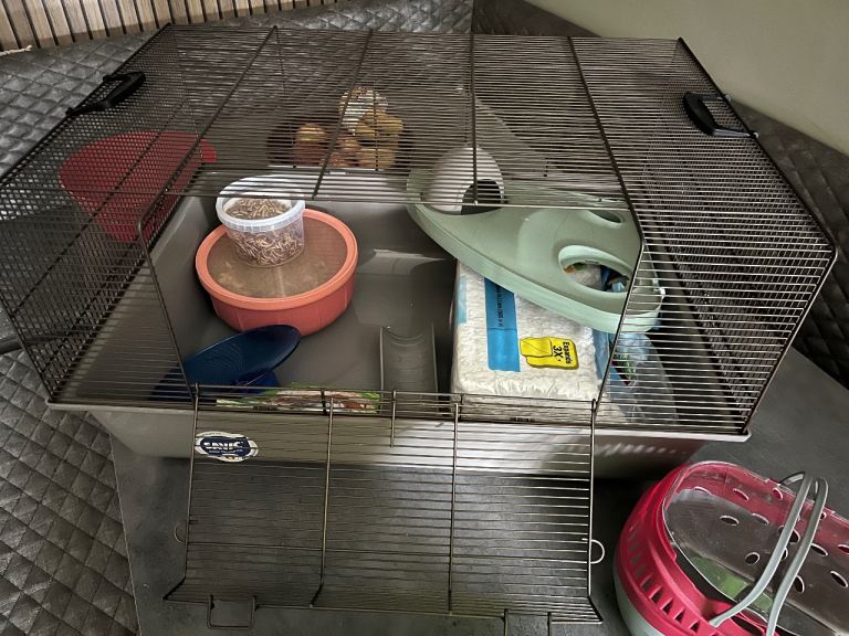 Hamster cage, accessories and food 