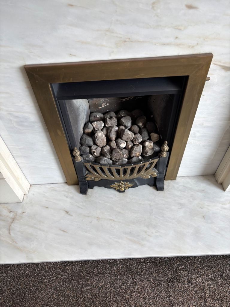 Fireplace Insert with Decorative Coals – Good Condition