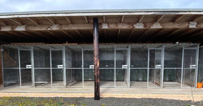 6x Galvanised dog runs and insulated kennel system (Dunragit) 