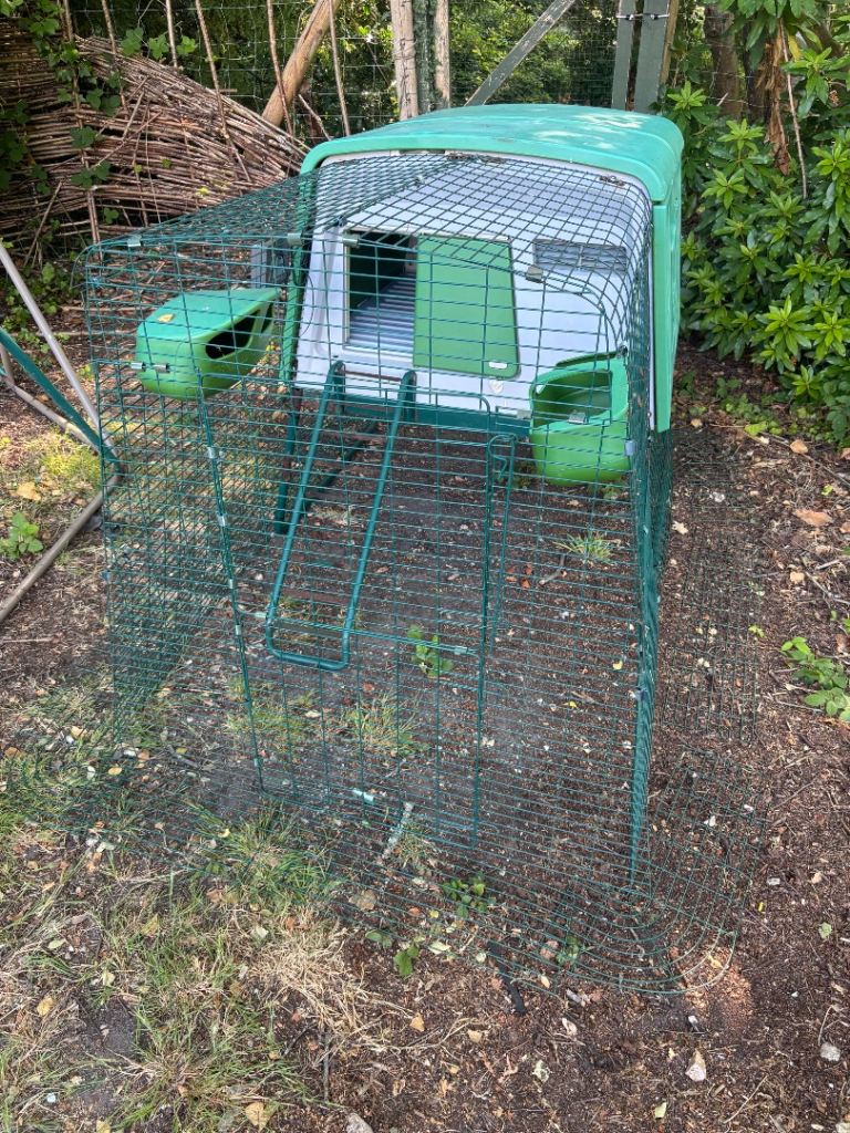 Omlet eglu cube with run and autodoor