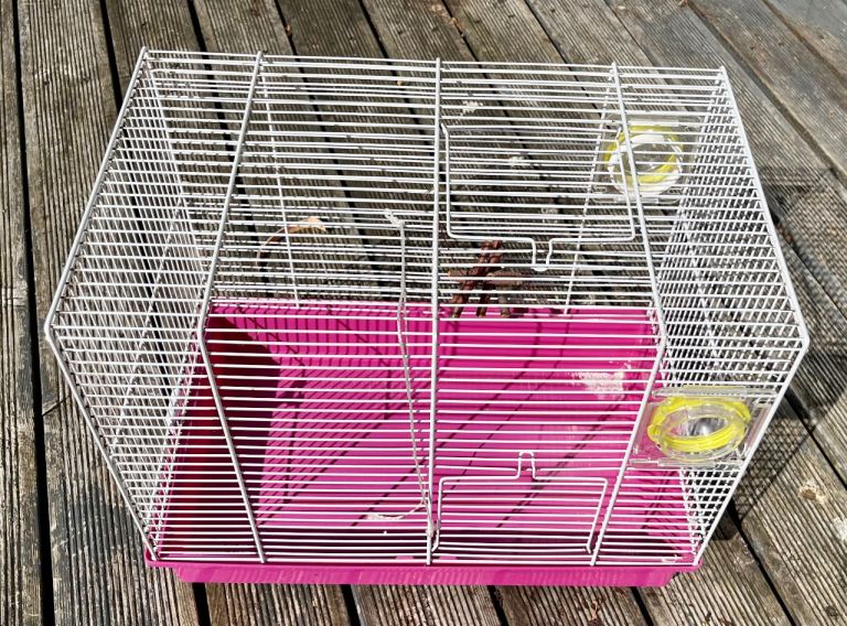 Hamster / Gerbil cage