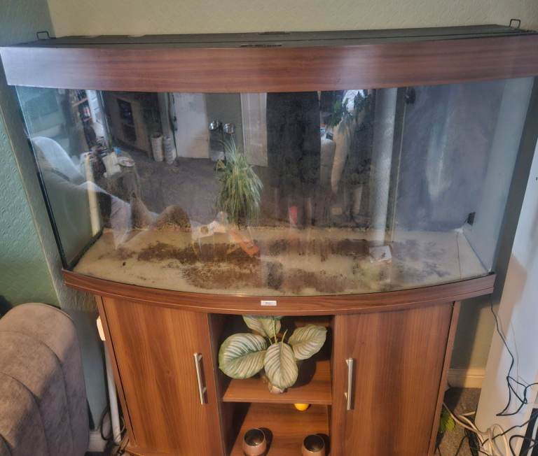 Juwel bow front fish tank