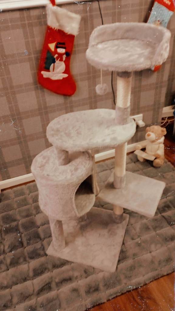 image for XL Cat Tree NEW!!