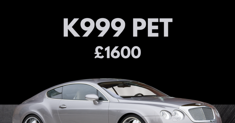 Private Registration Number K999PET