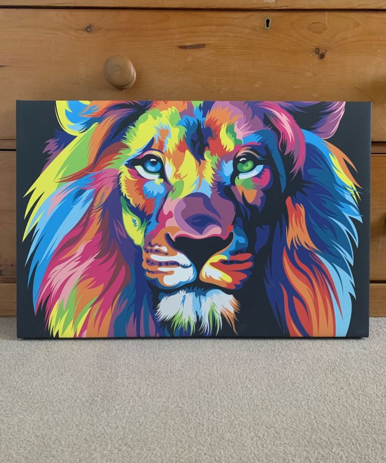 New 24.5” fade resistant lion picture (was £59.99 new)