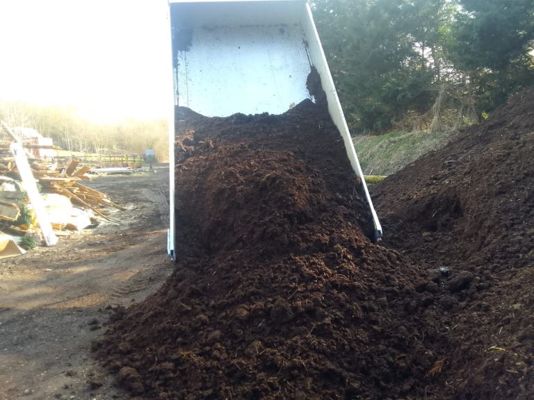 Well rotted horse manure 