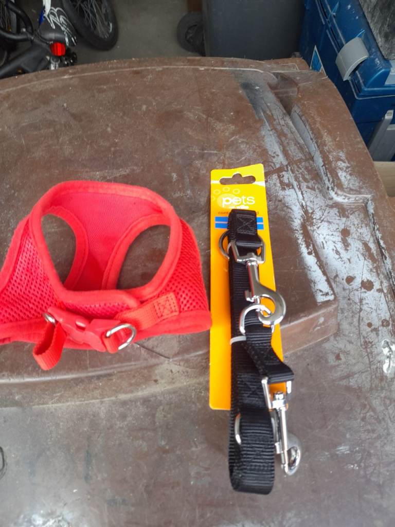 HARNESS AND LEAD