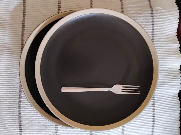 2x large dinner plates