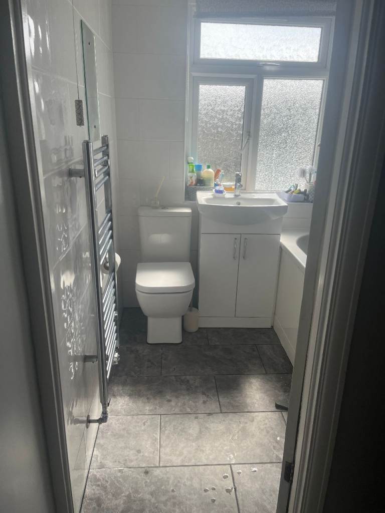 Single Professional females wanted-Double spacious fully furnished room